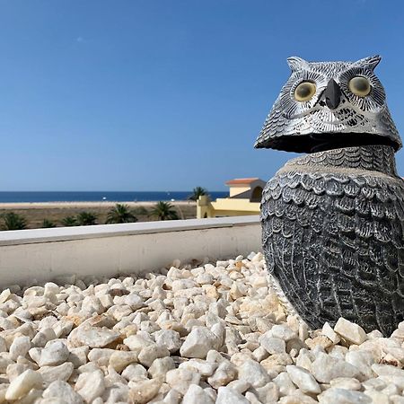 莫罗德哈布雷Vivienda Gorrion公寓 外观 照片